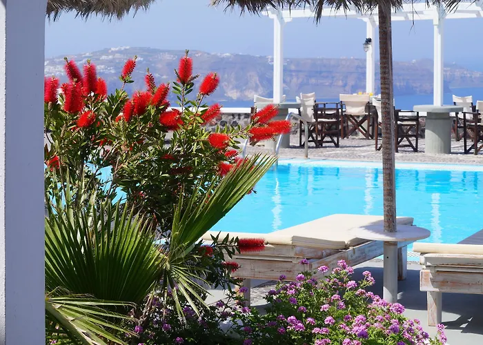 Thiranthemis (adults Only)