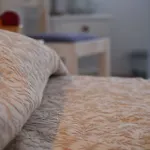 ثيرانثيميس